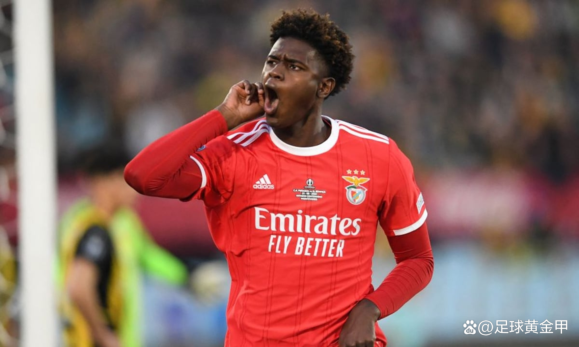 桑德兰队主力球员表现出色，助球队疯狂进军前四的简单介绍