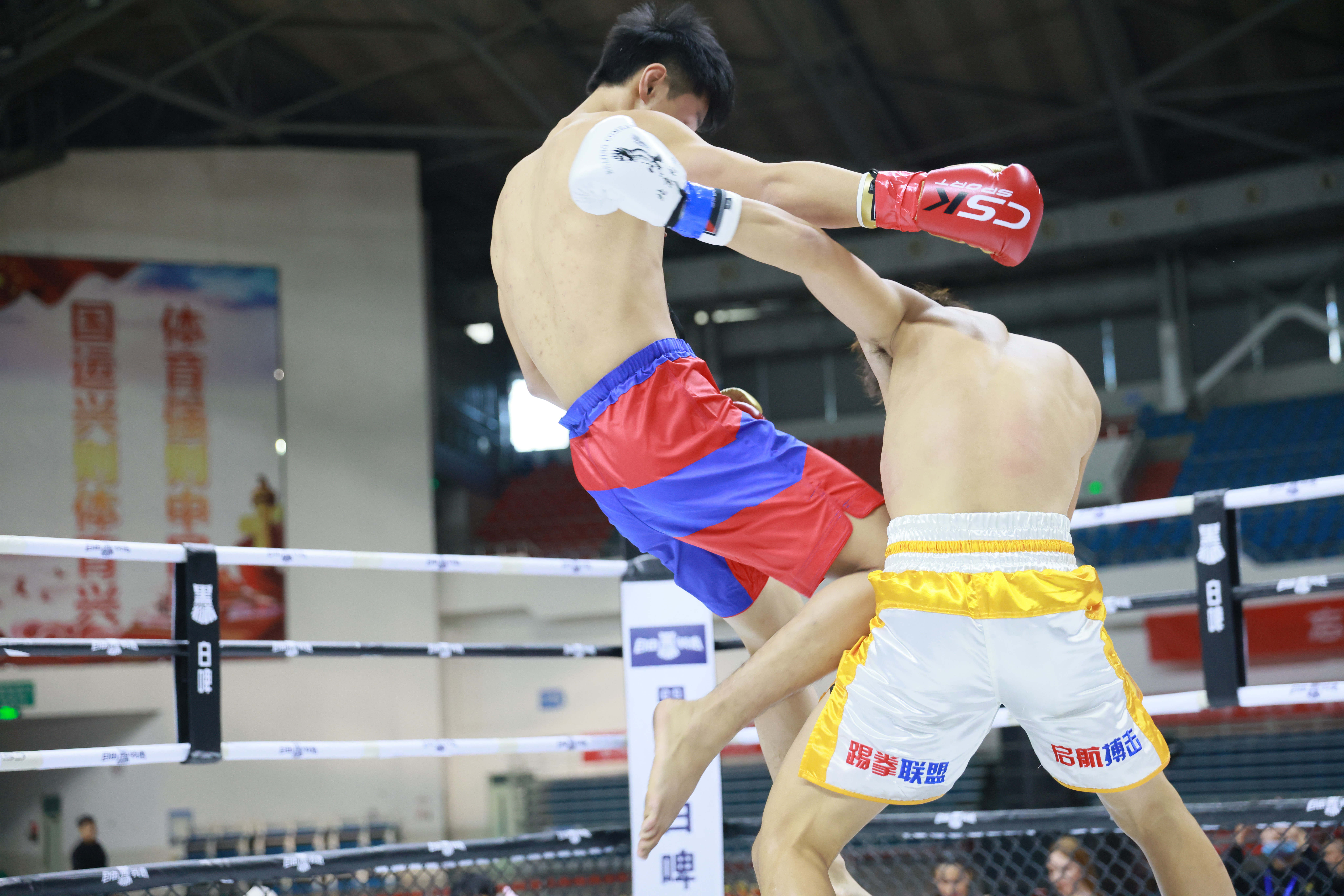 包含冠军之争白热化，法国国内联赛激情搏击的词条