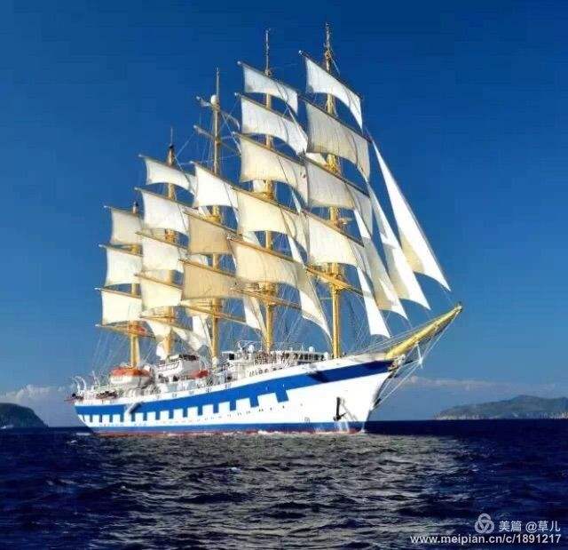 包含瑞士帆船选手雄赳赳，破风而行摘下奖牌的词条